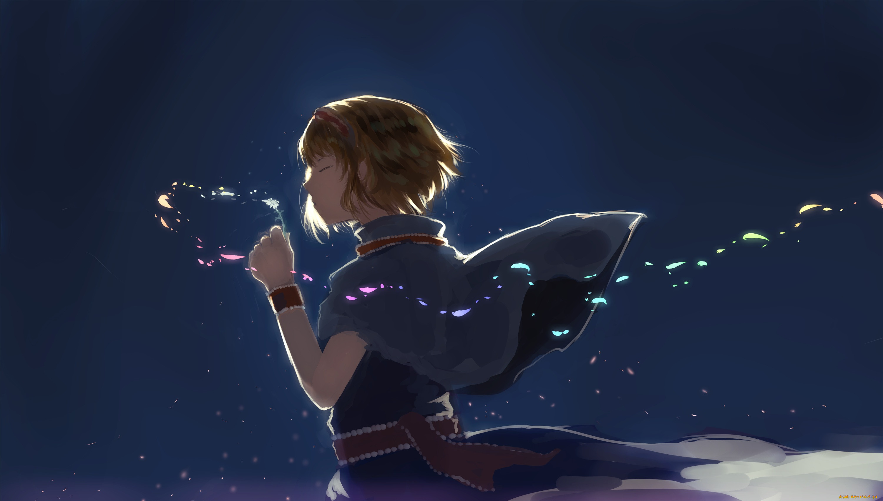 , touhou, alice, margatroid